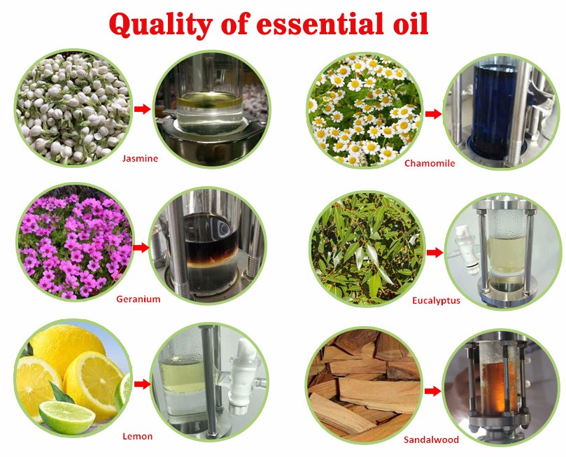quality of essential oil